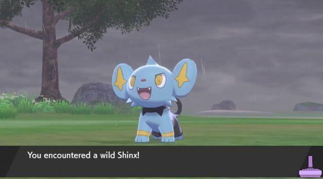 Cómo evolucionar a Shinx a Pokémon Sword and Shield, ubicaciones y estadísticas